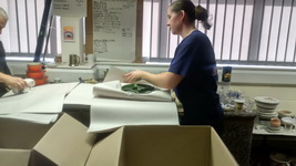 Recent Removal Jobs We&rsquo;ve Carried Out
