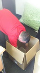 Recent Removal Jobs We&rsquo;ve Carried Out